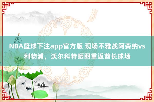 NBA篮球下注app官方版 现场不雅战阿森纳vs利物浦，沃尔科特晒图重返酋长球场