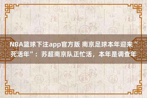 NBA篮球下注app官方版 南京足球本年迎来“死活年”：苏超南京队正忙活，本年是调查年