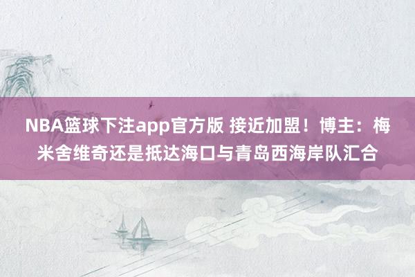 NBA篮球下注app官方版 接近加盟！博主：梅米舍维奇还是抵达海口与青岛西海岸队汇合