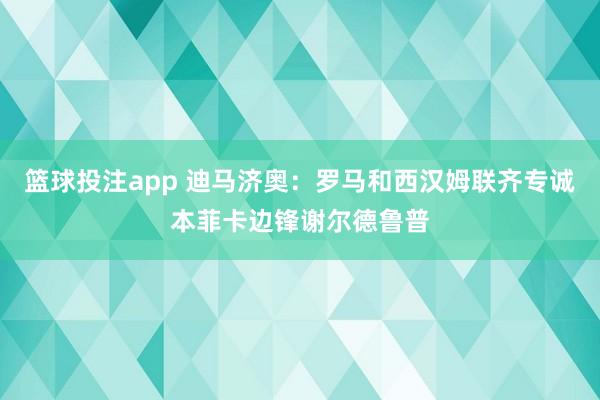 篮球投注app 迪马济奥：罗马和西汉姆联齐专诚本菲卡边锋谢尔德鲁普