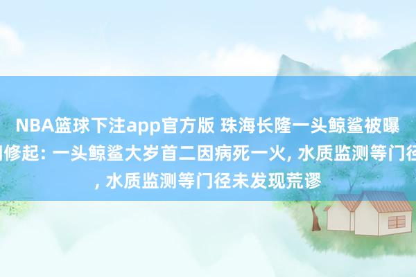 NBA篮球下注app官方版 珠海长隆一头鲸鲨被曝物化， 多部门修起: 一头鲸鲨大岁首二因病死一火， 水质监测等门径未发现荒谬