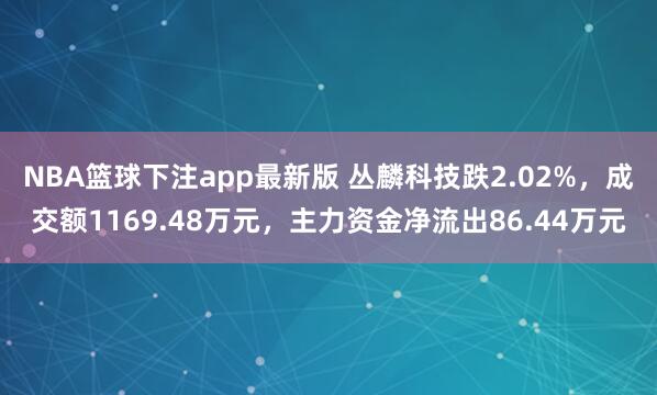 NBA篮球下注app最新版 丛麟科技跌2.02%，成交额1169.48万元，主力资金净流出86.44万元