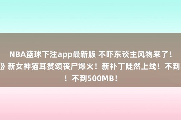 NBA篮球下注app最新版 不吓东谈主风物来了！《生化9》新女神猫耳赞颂丧尸爆火！新补丁陡然上线！不到500MB！