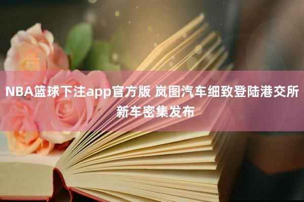 NBA篮球下注app官方版 岚图汽车细致登陆港交所  新车密集发布