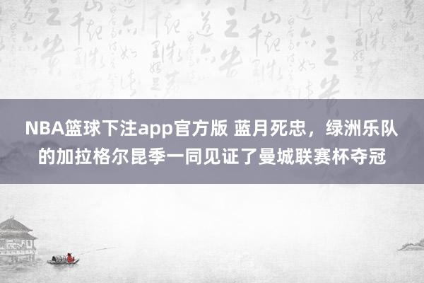 NBA篮球下注app官方版 蓝月死忠，绿洲乐队的加拉格尔昆季一同见证了曼城联赛杯夺冠