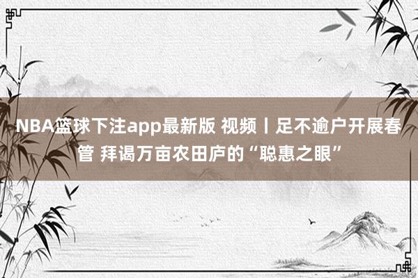 NBA篮球下注app最新版 视频丨足不逾户开展春管 拜谒万亩农田庐的“聪惠之眼”