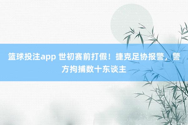 篮球投注app 世初赛前打假！捷克足协报警，警方拘捕数十东谈主
