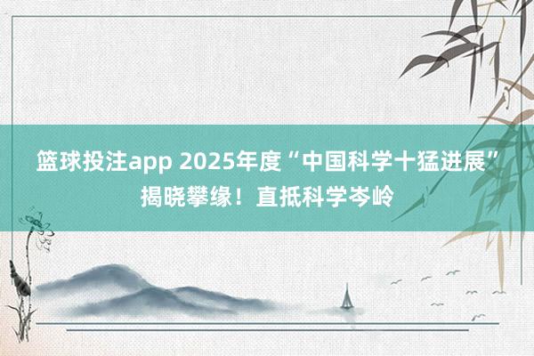 篮球投注app 2025年度“中国科学十猛进展”揭晓攀缘！直抵科学岑岭