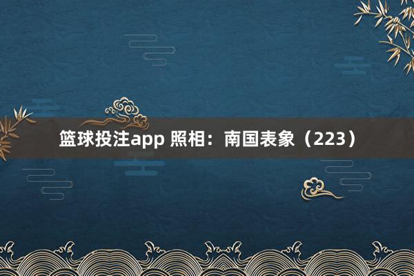篮球投注app 照相：南国表象（223）