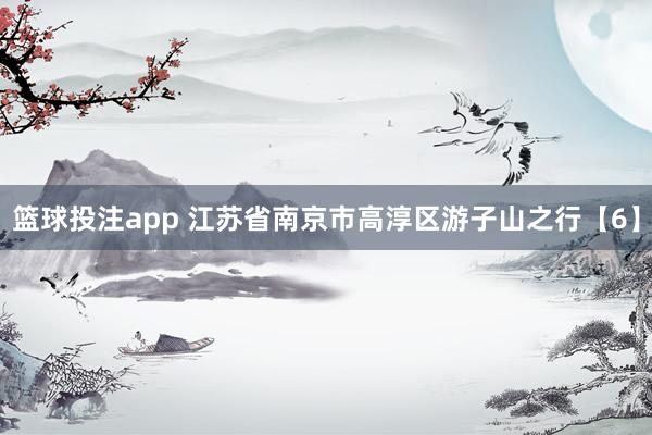 篮球投注app 江苏省南京市高淳区游子山之行【6】