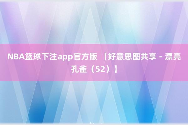 NBA篮球下注app官方版 【好意思图共享 - 漂亮孔雀（52）】