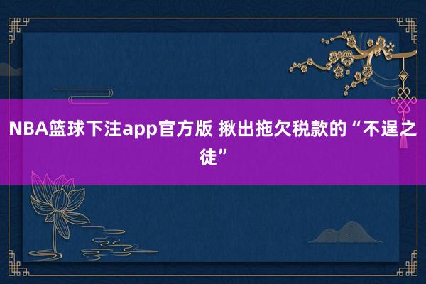 NBA篮球下注app官方版 揪出拖欠税款的“不逞之徒”
