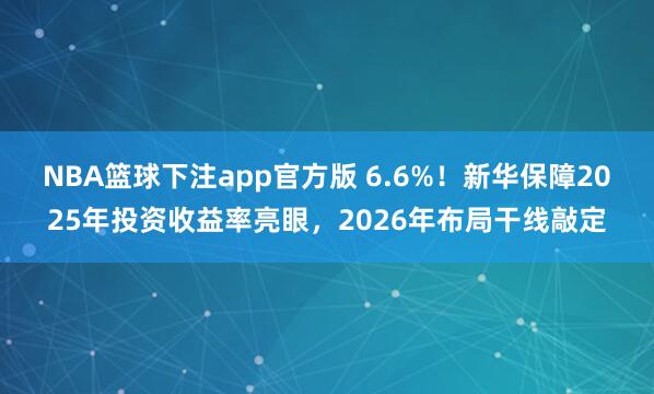 NBA篮球下注app官方版 6.6%！新华保障2025年投资收益率亮眼，2026年布局干线敲定