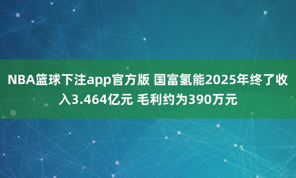 NBA篮球下注app官方版 国富氢能2025年终了收入3.464亿元 毛利约为390万元