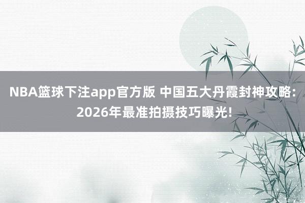 NBA篮球下注app官方版 中国五大丹霞封神攻略: 2026年最准拍摄技巧曝光!