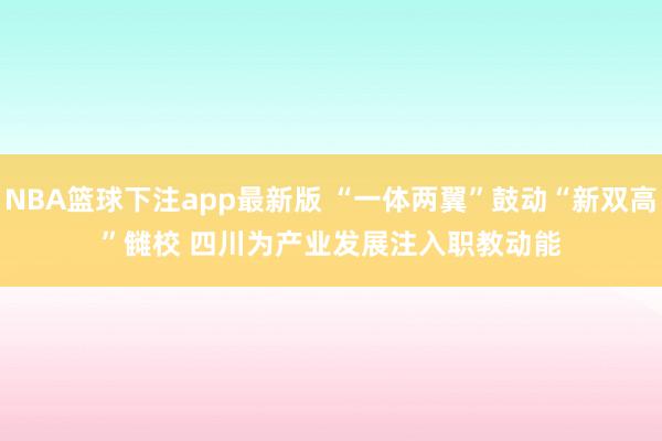 NBA篮球下注app最新版 “一体两翼”鼓动“新双高”雠校 四川为产业发展注入职教动能