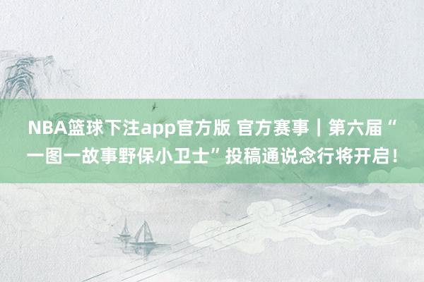 NBA篮球下注app官方版 官方赛事｜第六届“一图一故事野保小卫士”投稿通说念行将开启！