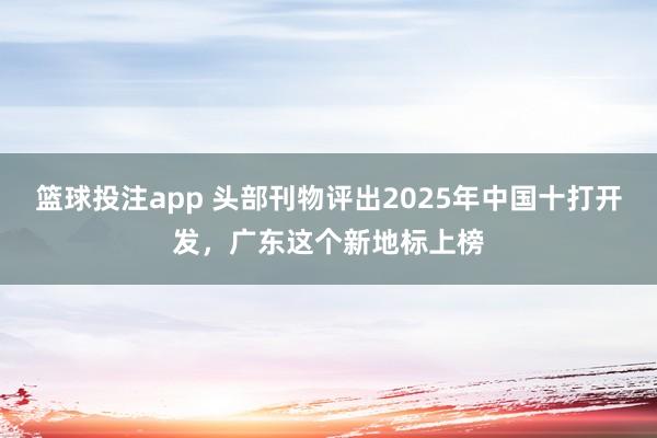 篮球投注app 头部刊物评出2025年中国十打开发，广东这个新地标上榜
