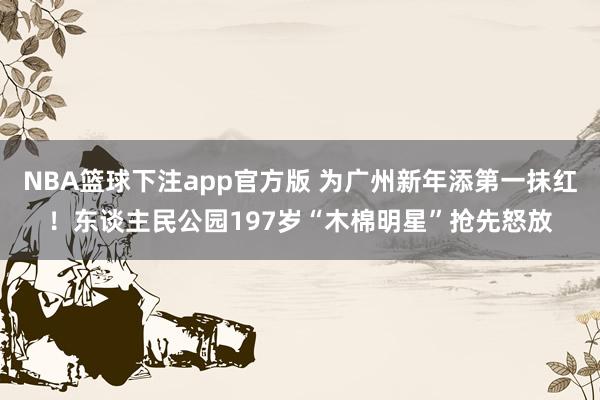NBA篮球下注app官方版 为广州新年添第一抹红！东谈主民公园197岁“木棉明星”抢先怒放