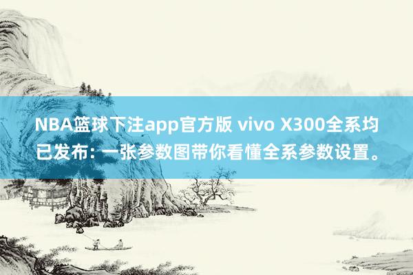 NBA篮球下注app官方版 vivo X300全系均已发布: 一张参数图带你看懂全系参数设置。