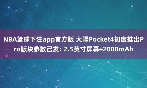 NBA篮球下注app官方版 大疆Pocket4初度推出Pro版块参数已发: 2.5英寸屏幕+2000mAh