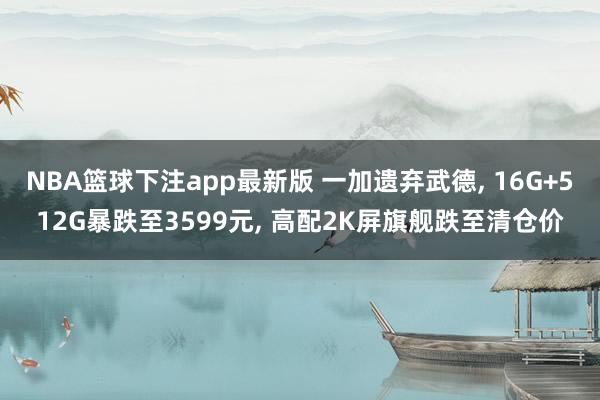 NBA篮球下注app最新版 一加遗弃武德， 16G+512G暴跌至3599元， 高配2K屏旗舰跌至清仓价