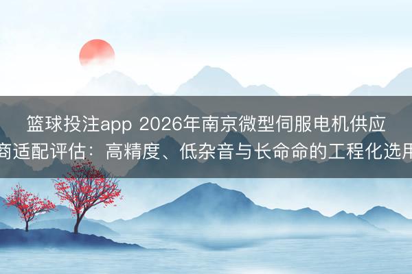 篮球投注app 2026年南京微型伺服电机供应商适配评估：高精度、低杂音与长命命的工程化选用