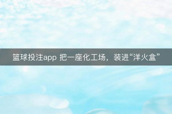 篮球投注app 把一座化工场，装进“洋火盒”
