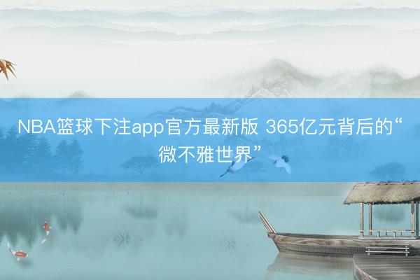 NBA篮球下注app官方最新版 365亿元背后的“微不雅世界”