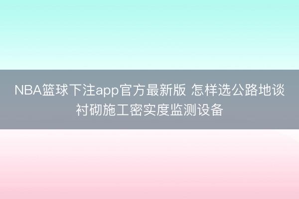 NBA篮球下注app官方最新版 怎样选公路地谈衬砌施工密实度监测设备