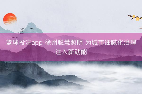 篮球投注app 徐州聪慧照明 为城市细腻化治理注入新动能