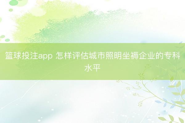 篮球投注app 怎样评估城市照明坐褥企业的专科水平