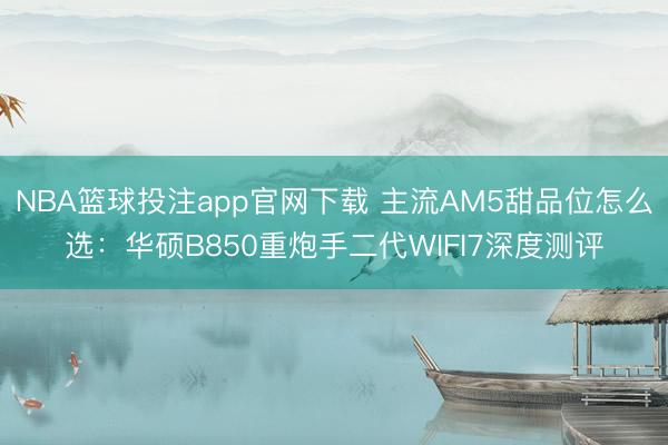 NBA篮球投注app官网下载 主流AM5甜品位怎么选：华硕B850重炮手二代WIFI7深度测评