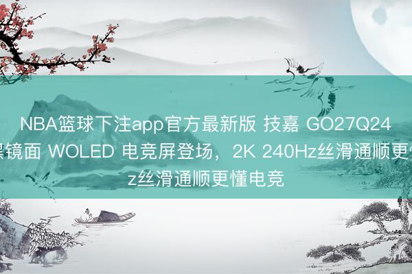 NBA篮球下注app官方最新版 技嘉 GO27Q24G 纯黑镜面 WOLED 电竞屏登场,2K 240Hz丝滑通顺更懂电竞