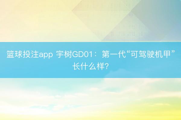 篮球投注app 宇树GD01：第一代“可驾驶机甲”长什么样？