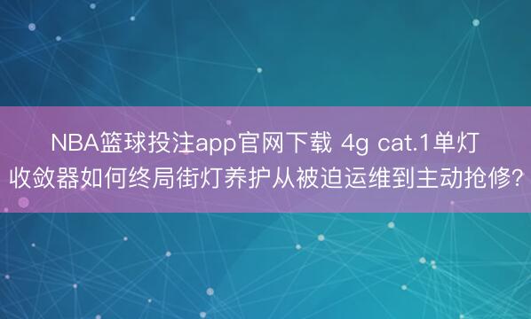NBA篮球投注app官网下载 4g cat.1单灯收敛器如何终局街灯养护从被迫运维到主动抢修？