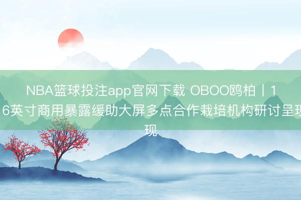 NBA篮球投注app官网下载 OBOO鸥柏丨116英寸商用暴露缓助大屏多点合作栽培机构研讨呈现