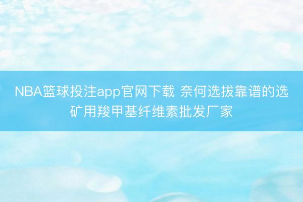 NBA篮球投注app官网下载 奈何选拔靠谱的选矿用羧甲基纤维素批发厂家