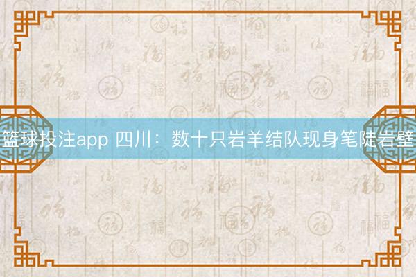 篮球投注app 四川：数十只岩羊结队现身笔陡岩壁