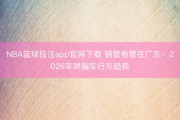 NBA篮球投注app官网下载 钢管卷管在广东：2026年哄骗实行与趋势