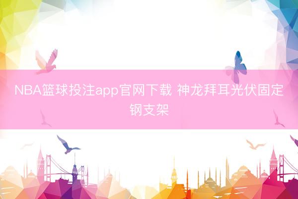 NBA篮球投注app官网下载 神龙拜耳光伏固定钢支架