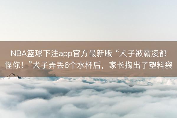 NBA篮球下注app官方最新版 “犬子被霸凌都怪你！”犬子弄丢6个水杯后，家长掏出了塑料袋