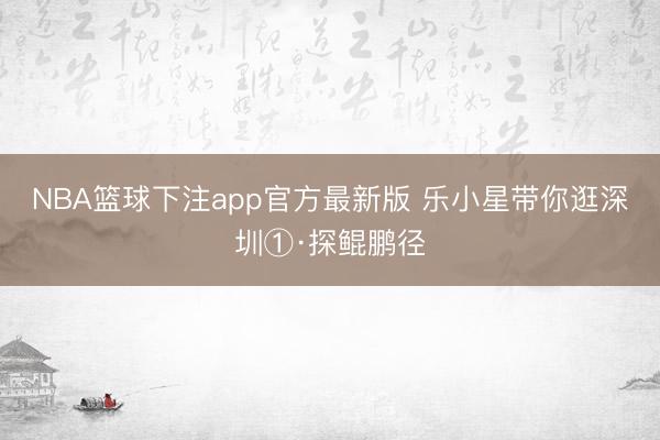 NBA篮球下注app官方最新版 乐小星带你逛深圳①·探鲲鹏径