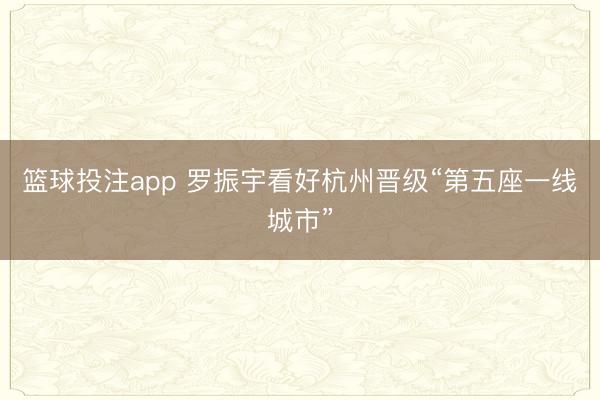 篮球投注app 罗振宇看好杭州晋级“第五座一线城市”
