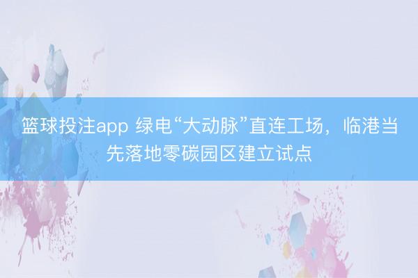 篮球投注app 绿电“大动脉”直连工场，临港当先落地零碳园区建立试点
