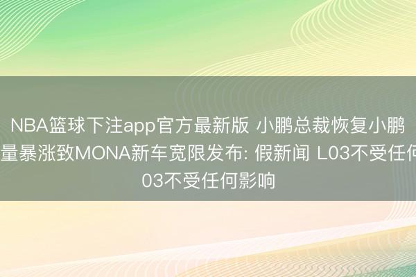NBA篮球下注app官方最新版 小鹏总裁恢复小鹏GX销量暴涨致MONA新车宽限发布: 假新闻 L03不受任何影响