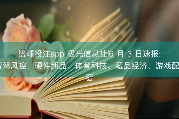 篮球投注app 极光信息社|6 月 3 日速报: 智驾风控、硬件新品、体育科技、藏品经济、游戏配套