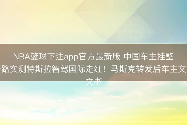 NBA篮球下注app官方最新版 中国车主挂壁公路实测特斯拉智驾国际走红！马斯克转发后车主文书