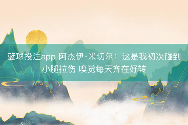 篮球投注app 阿杰伊·米切尔：这是我初次碰到小腿拉伤 嗅觉
