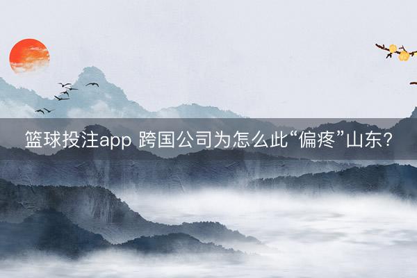 篮球投注app 跨国公司为怎么此“偏疼”山东?